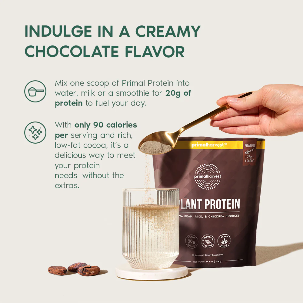Chocolate Plant Protein - Image 3