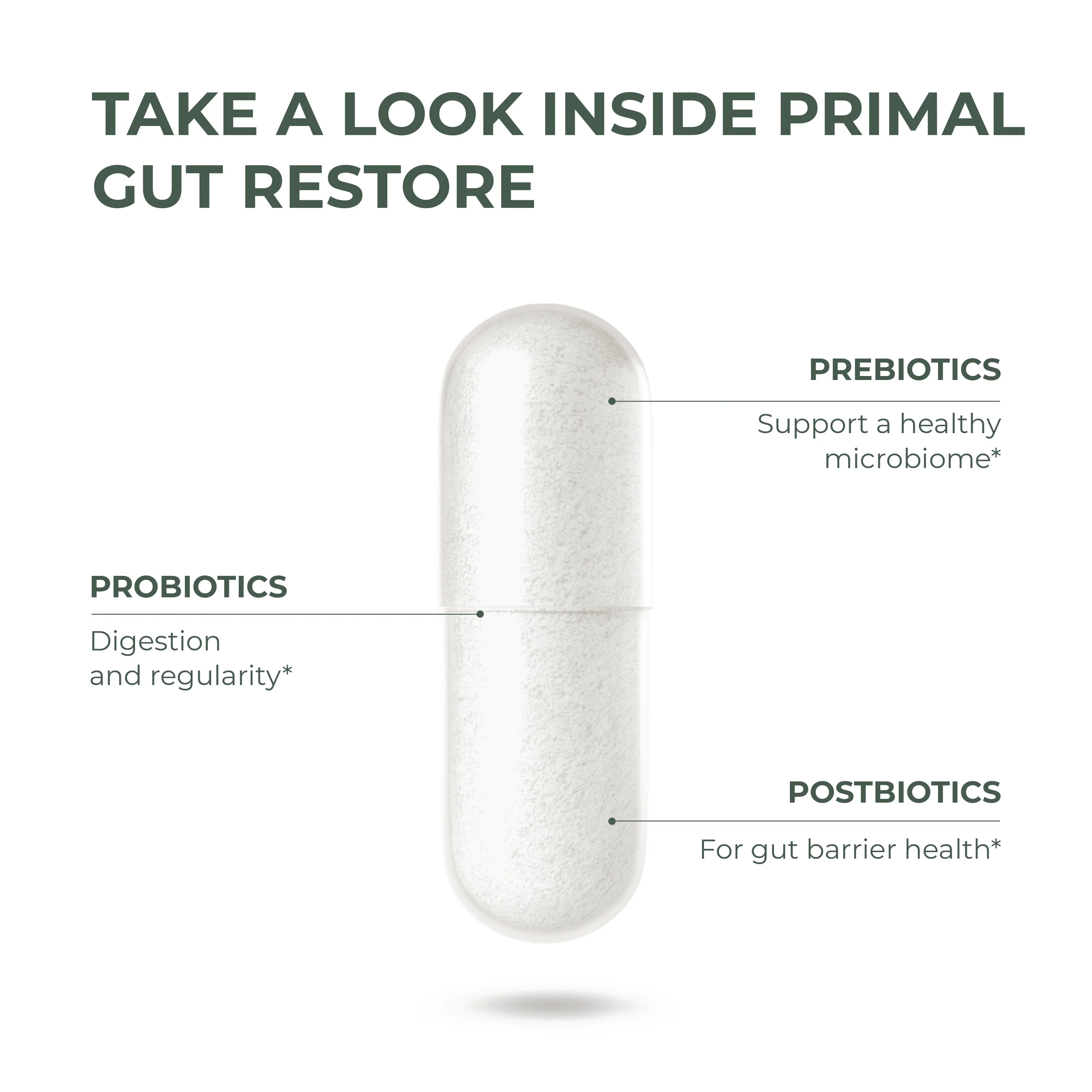 Primal Gut Restore - Image 3