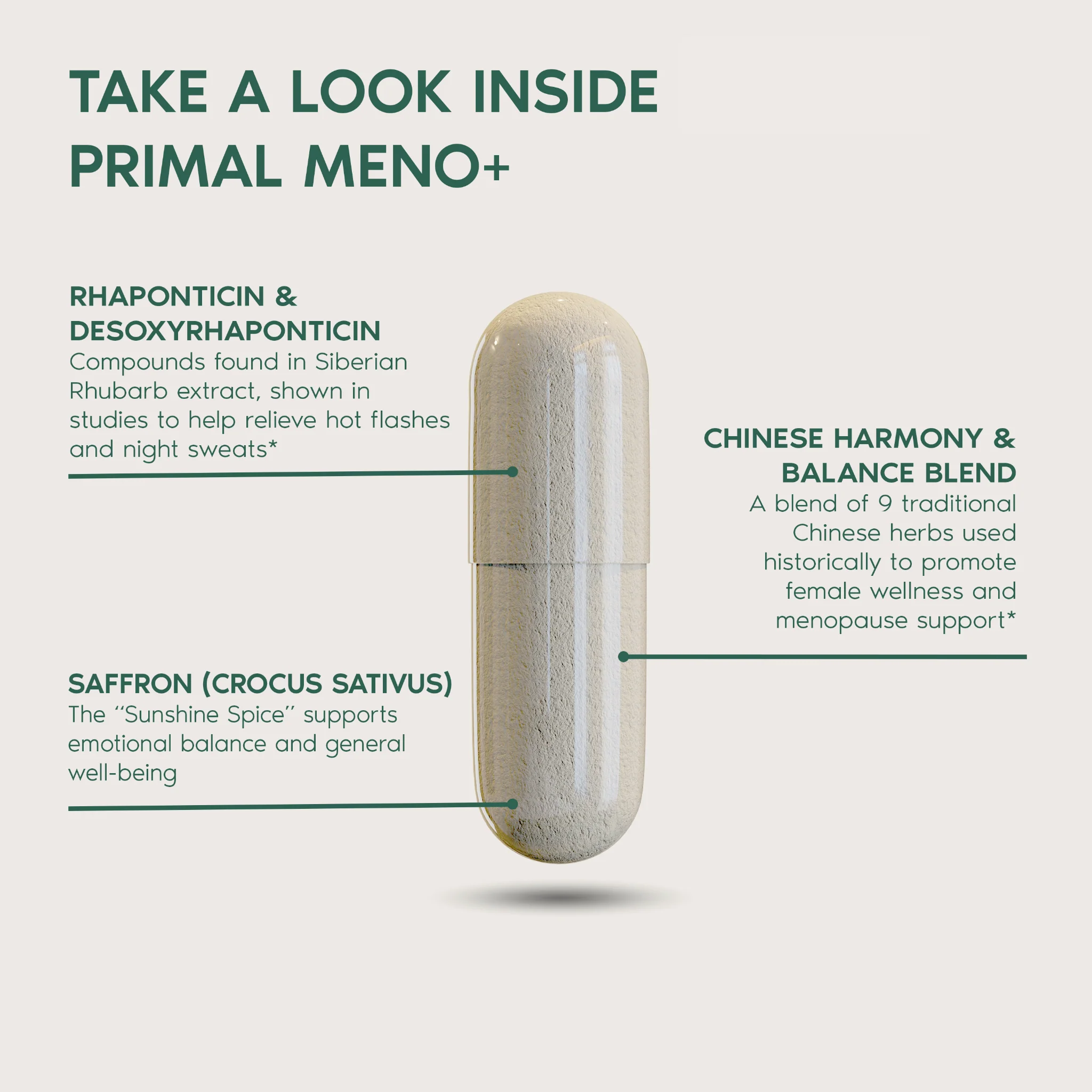Primal Meno+ - Image 2