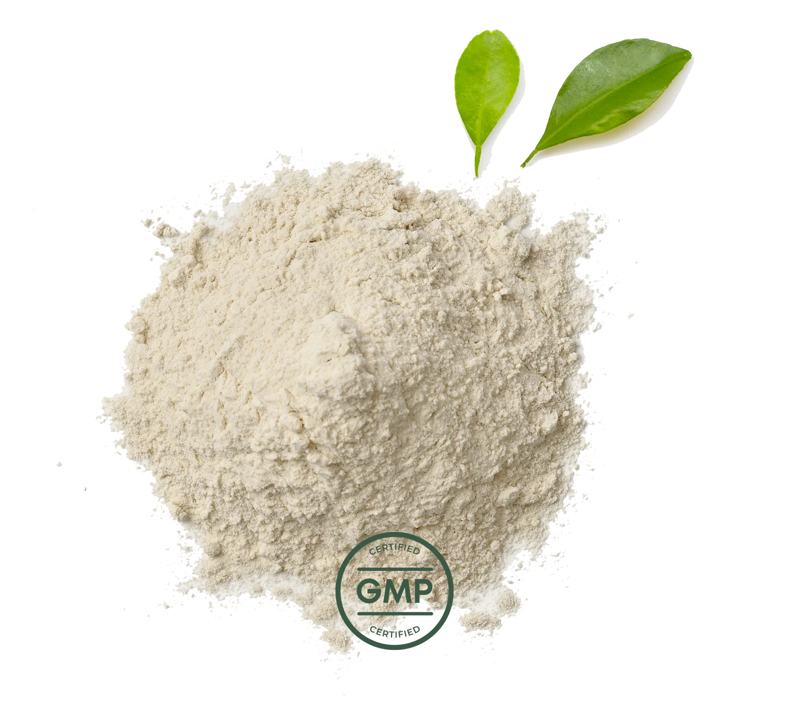 Primal Probiotics - Image 7