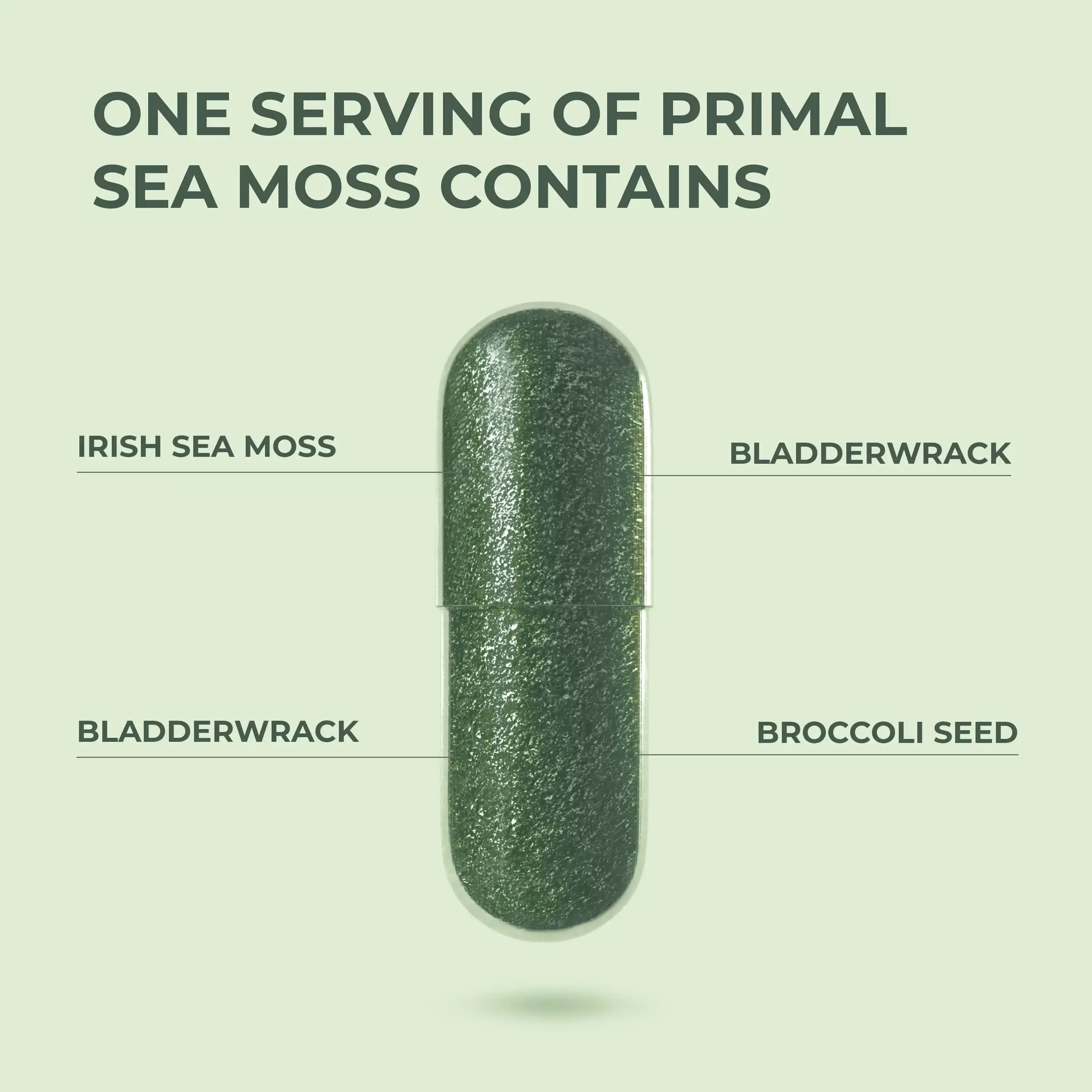 Primal Sea Moss - Image 5