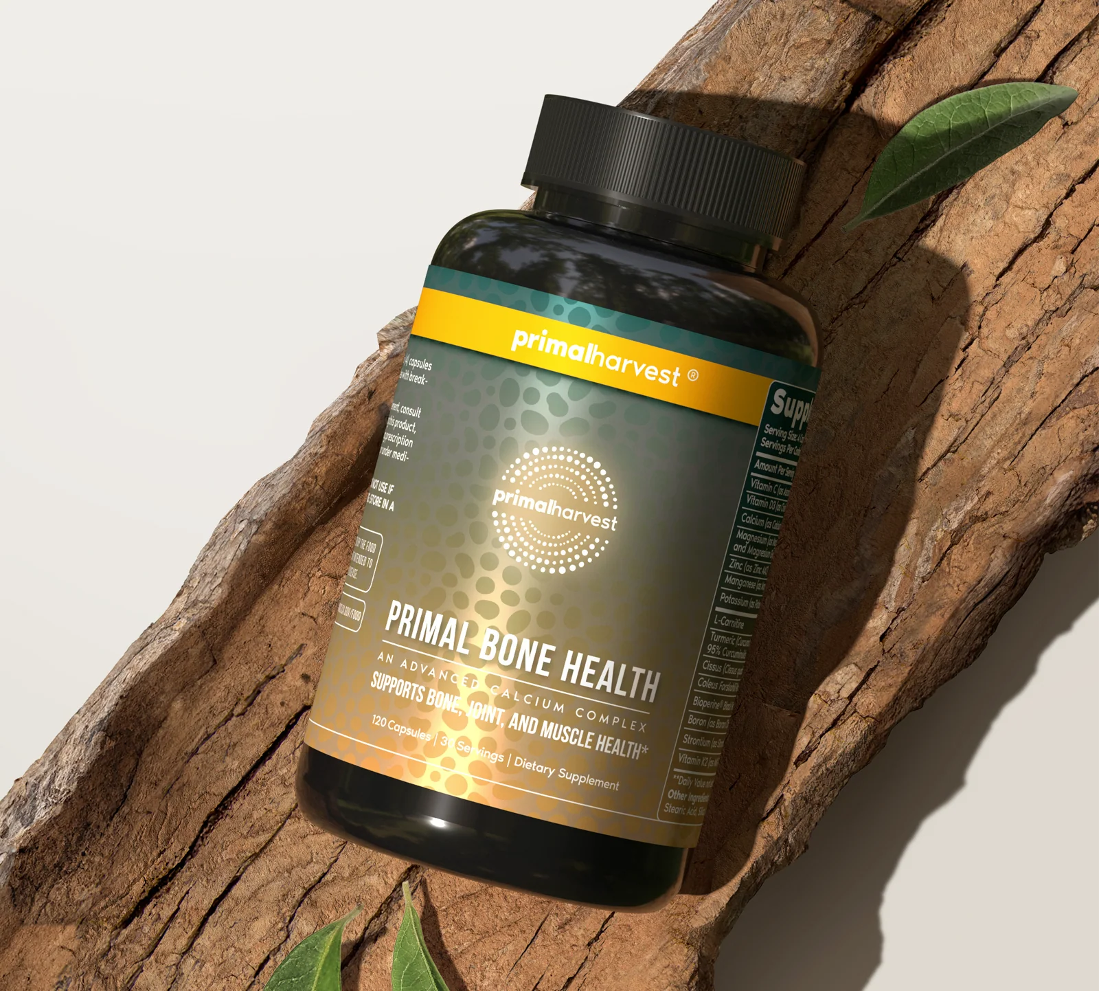 Thrive & Revive Bundle - Image 3